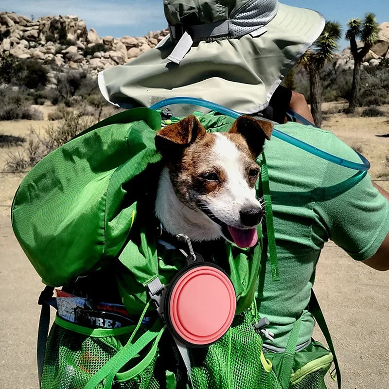 Collapsible Dog Bowls for Travel